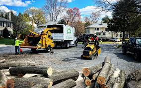 Best Tree Mulching  in Walled Lake, MI